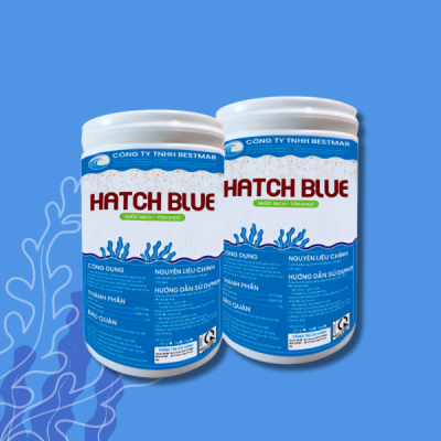 HATCH BLUE (Cân bằng hệ vi sinh đường ruột)