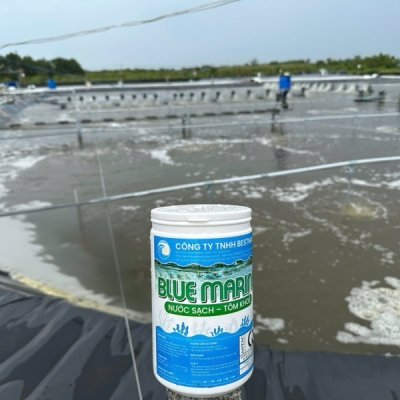 BLUE MARINE ( Nước sạch - tôm khỏe)
